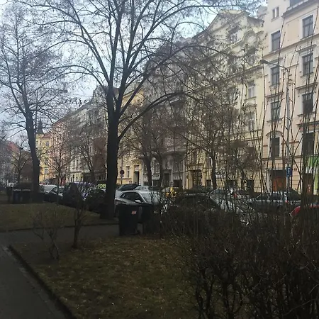 28. Pluku *
